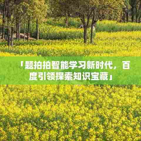 「题拍拍智能学习新时代，百度引领探索知识宝藏」