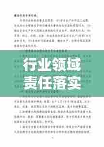 行业领域责任落实：行业领域整治实施方案 