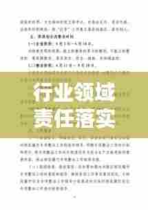 行业领域责任落实:行业领域整治实施方案