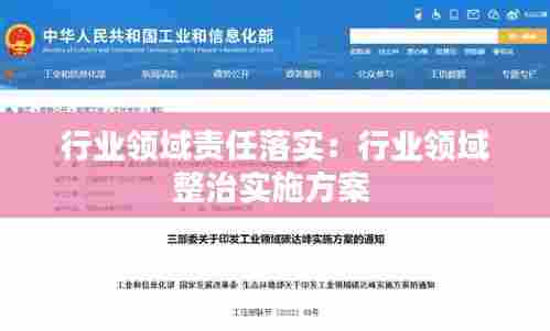 行业领域责任落实:行业领域整治实施方案