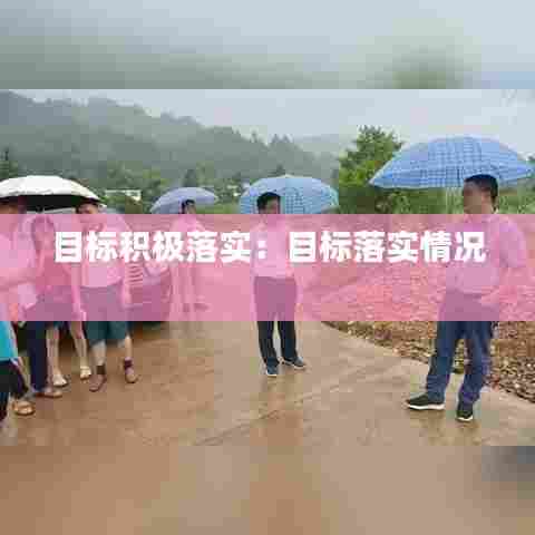 目标积极落实:目标落实情况