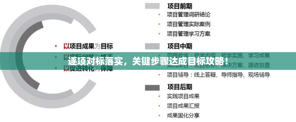 逐项对标落实,关键步骤达成目标攻略!
