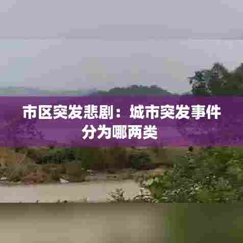 市区突发悲剧：城市突发事件分为哪两类 