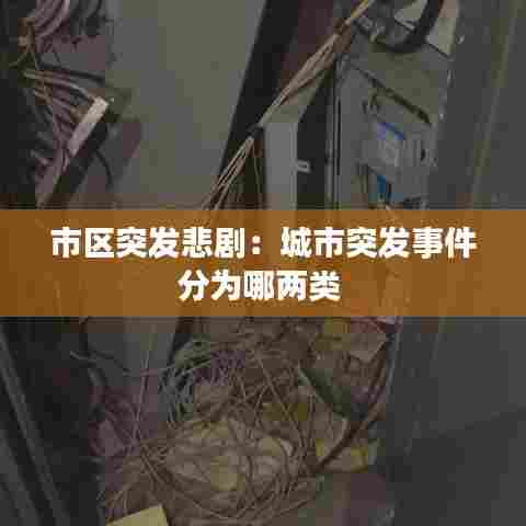 市区突发悲剧:城市突发事件分为哪两类