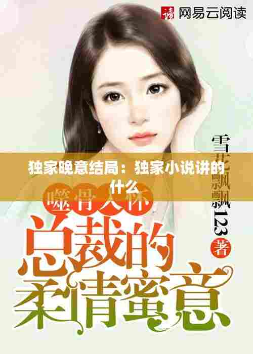 独家晚意结局：独家小说讲的什么 