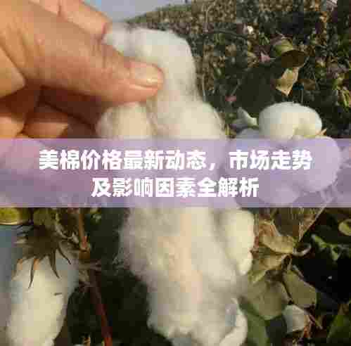 飞墙走壁 第7页