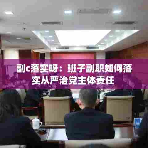 副c落实呀:班子副职如何落实从严治党主体责任