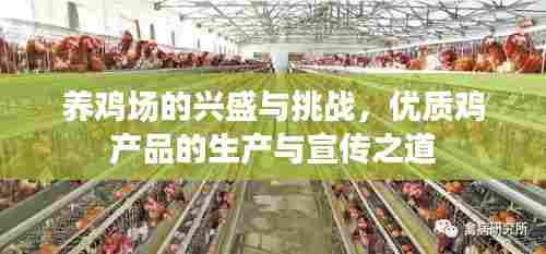 养鸡场的兴盛与挑战,优质鸡产品的生产与宣传之道