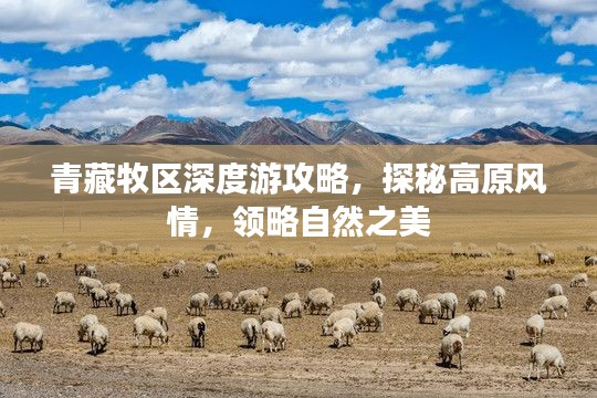 青藏牧区深度游攻略,探秘高原风情,领略自然之美