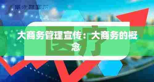 大商务管理宣传：大商务的概念 