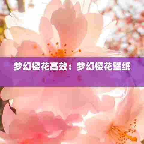 梦幻樱花高效:梦幻樱花壁纸