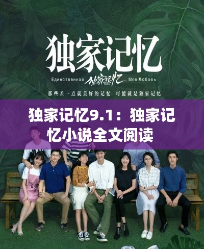 独家记忆9.1：独家记忆小说全文阅读 