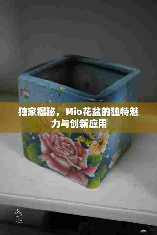 独家揭秘，Mio花盆的独特魅力与创新应用