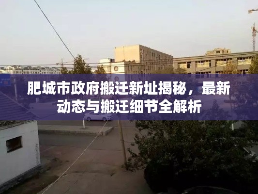 肥城市政府搬迁新址揭秘，最新动态与搬迁细节全解析