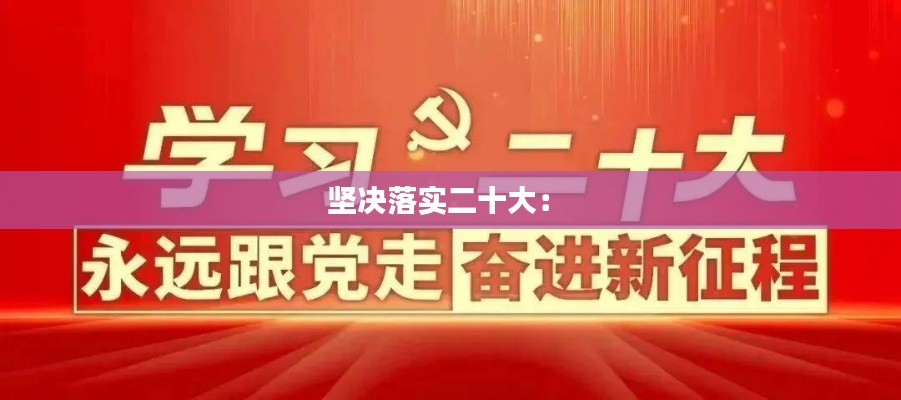 坚决落实二十大: