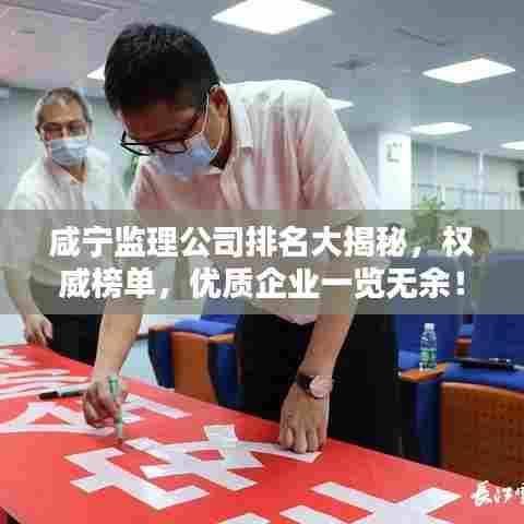 咸宁监理公司排名大揭秘,权威榜单,优质企业一览无余!