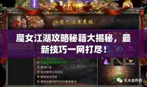 魔女江湖攻略秘籍大揭秘,最新技巧一网打尽!