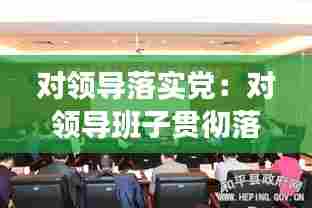 对领导落实党：对领导班子贯彻落实方面的建议 