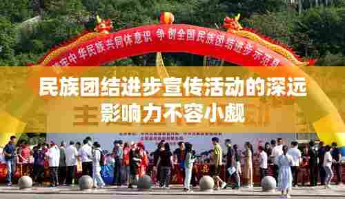 民族团结进步宣传活动的深远影响力不容小觑