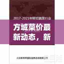 方城菜价最新动态，新鲜蔬菜走势与市场深度分析