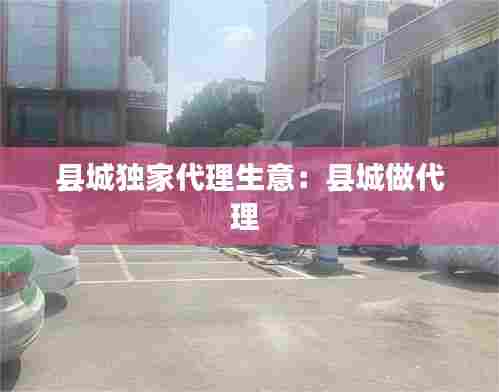 县城独家代理生意：县城做代理 