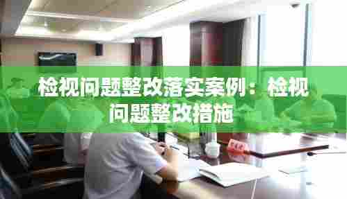 检视问题整改落实案例:检视问题整改措施
