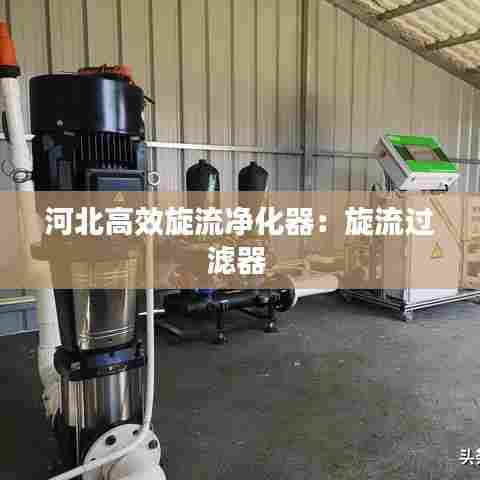 河北高效旋流净化器:旋流过滤器