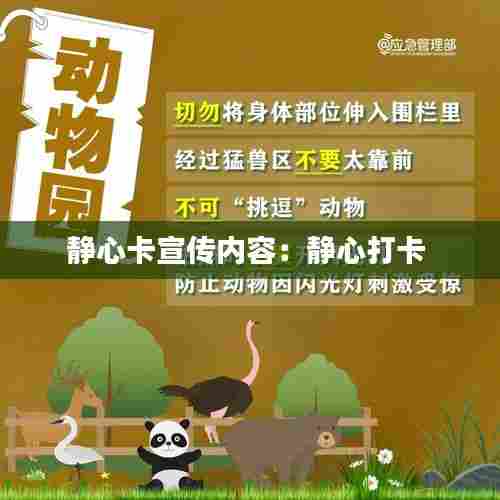 静心卡宣传内容:静心打卡