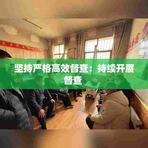 坚持严格高效督查:持续开展督查