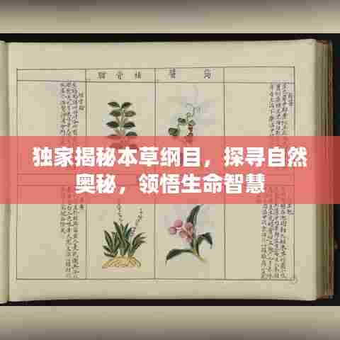 独家揭秘本草纲目，探寻自然奥秘，领悟生命智慧