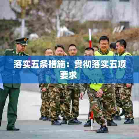 落实五条措施:贯彻落实五项要求