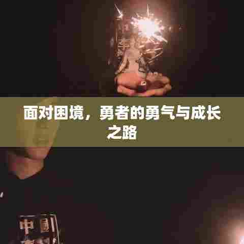 面对困境,勇者的勇气与成长之路