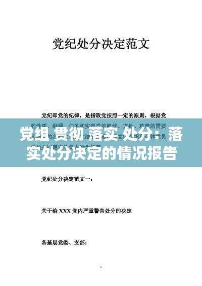 党组 贯彻 落实 处分：落实处分决定的情况报告 