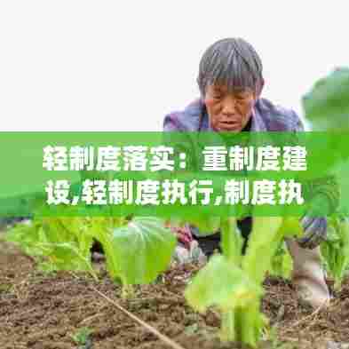 轻制度落实：重制度建设,轻制度执行,制度执行不严问题 