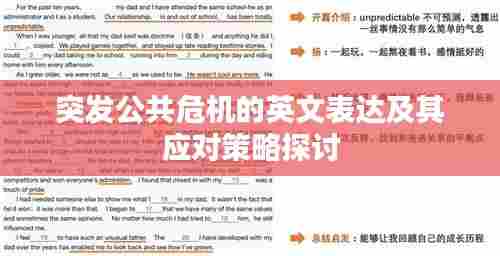 突发公共危机的英文表达及其应对策略探讨