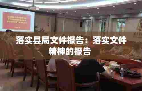 落实县局文件报告：落实文件精神的报告 