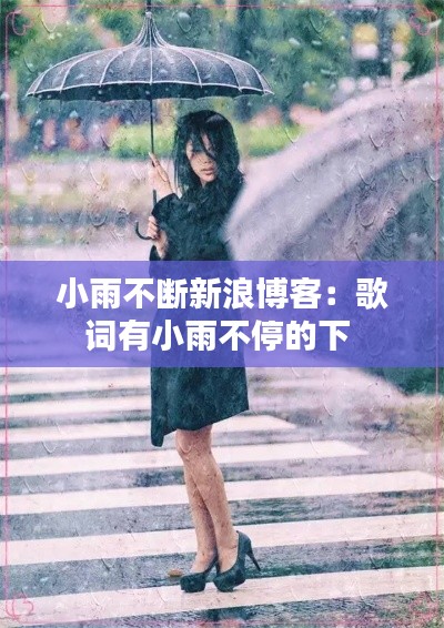 小雨不断新浪博客：歌词有小雨不停的下 