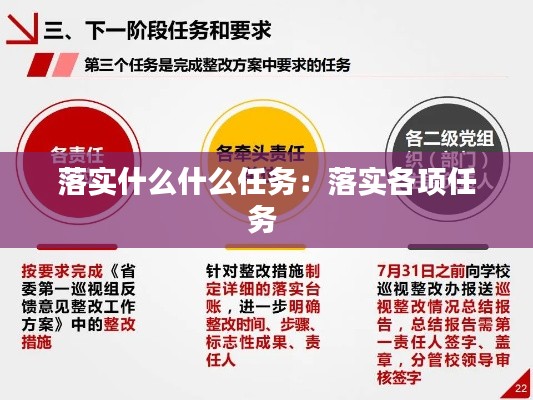 落实什么什么任务:落实各项任务