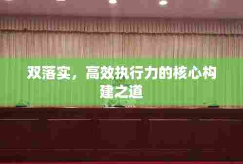 双落实,高效执行力的核心构建之道