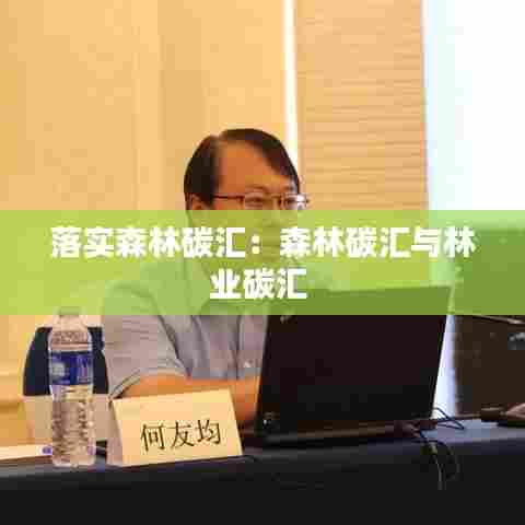 落实森林碳汇:森林碳汇与林业碳汇