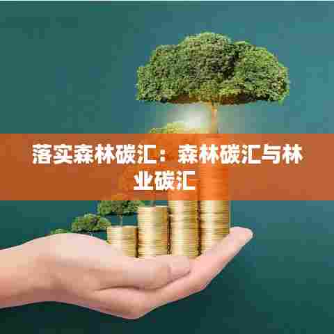 落实森林碳汇:森林碳汇与林业碳汇