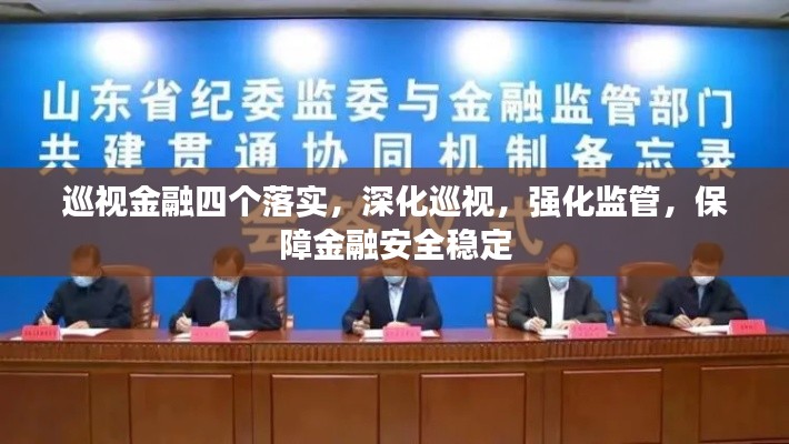 巡视金融四个落实，深化巡视，强化监管，保障金融安全稳定