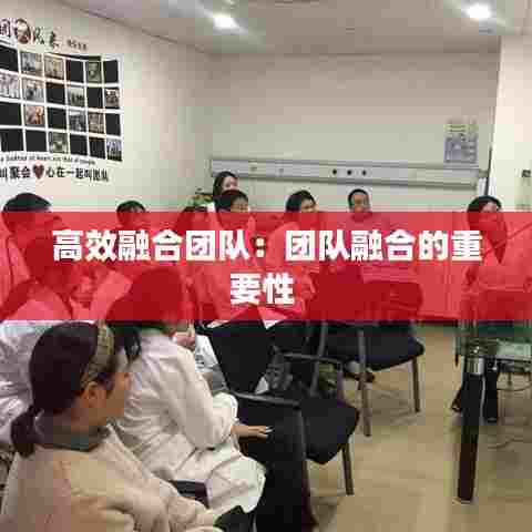 高效融合团队:团队融合的重要性