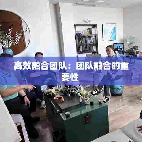 高效融合团队:团队融合的重要性