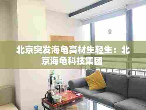 北京突发海龟高材生轻生:北京海龟科技集团