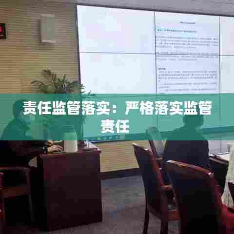 责任监管落实:严格落实监管责任