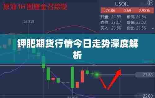 钾肥期货行情今日走势深度解析