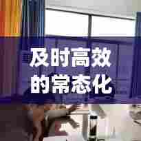 及时高效的常态化管理:规范管理常态化