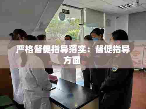 严格督促指导落实:督促指导方面