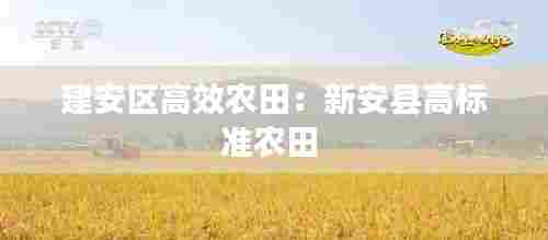 建安区高效农田:新安县高标准农田